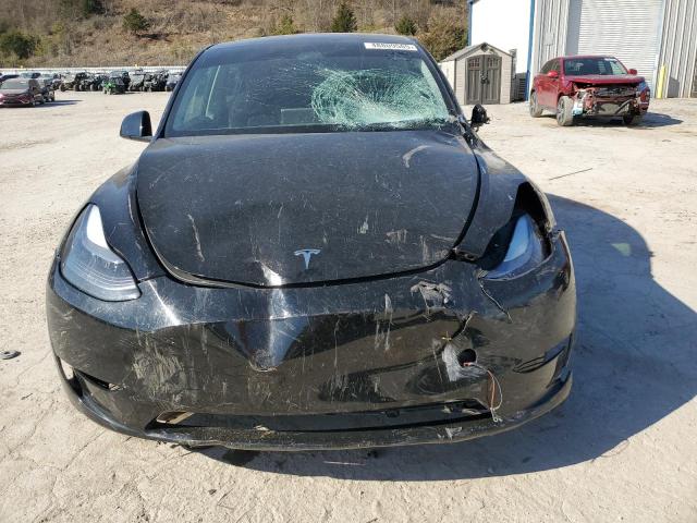 2023 TESLA MODEL Y - 7SAYGDEF1PF867165
