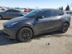 2024 TESLA MODEL Y - 7SAYGDEE1RF070313