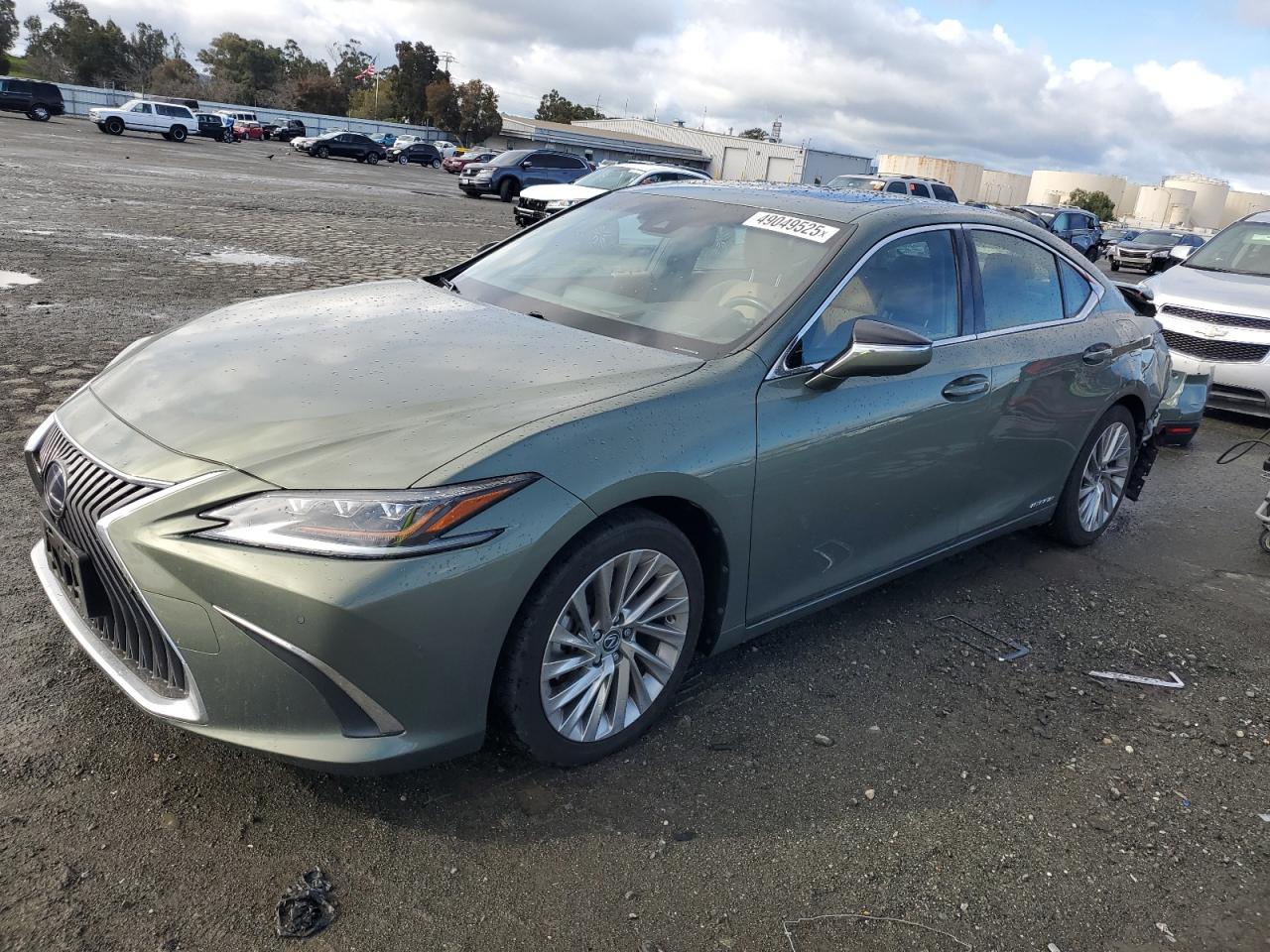 JTHB21B11K2034257 LEXUS ES 300H 2019