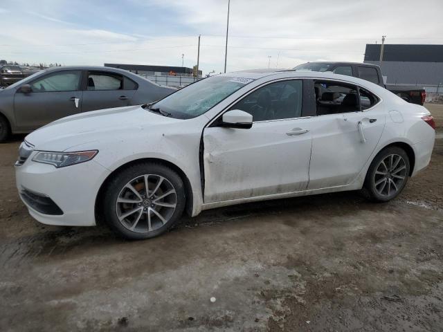 ACURA TLX TECH