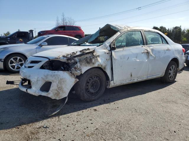 Vin: jtdbu4ee8b9144581, lot: 49918565, toyota corolla base 2011 img_1