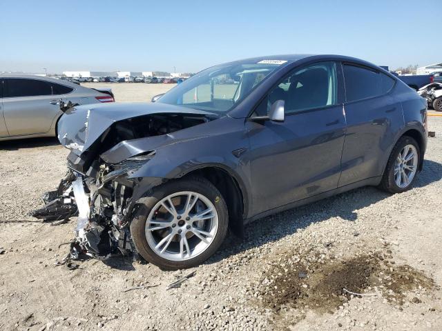 TESLA MODEL Y 2023 gray  electric 7SAYGDEE2PA164405 photo #1