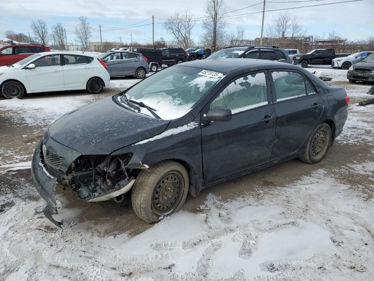 TOYOTA COROLLA BASE