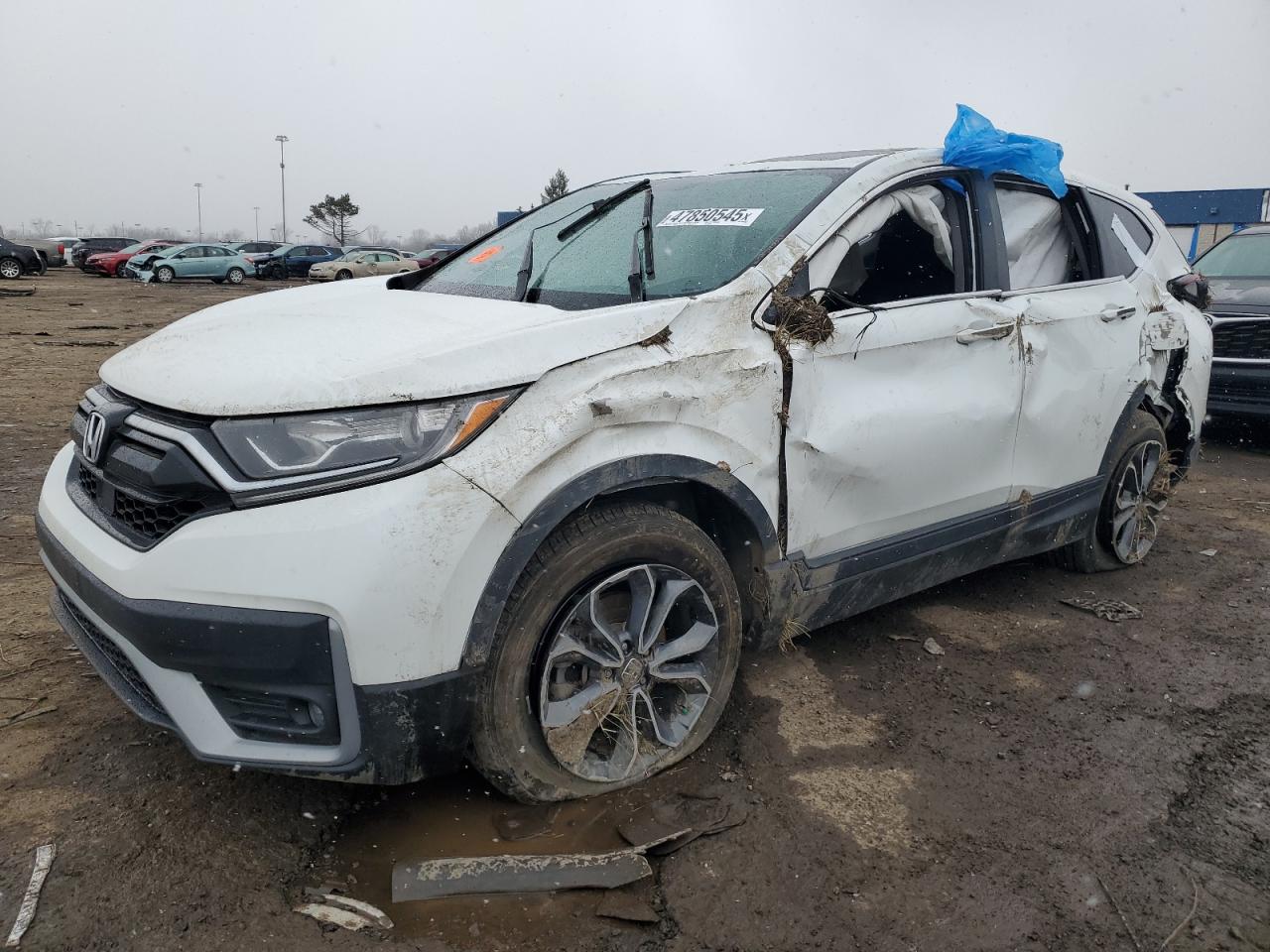 HONDA CR-V EX