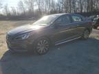 2017 HYUNDAI SONATA SPO - 5NPE34AF8HH510344