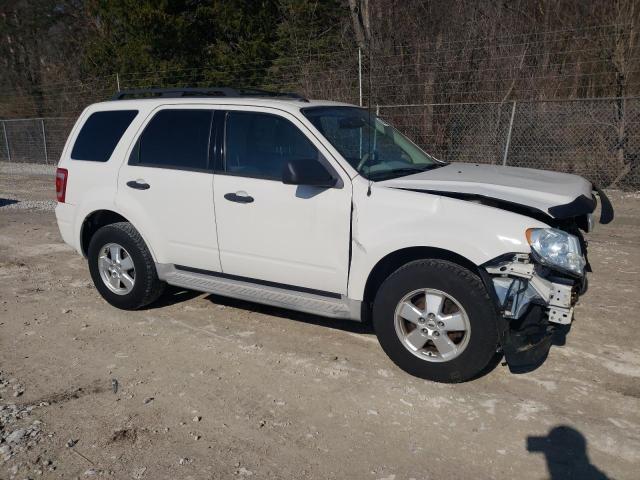 Vin: 1fmcu0dg6akb80644, lot: 48528495, ford escape xlt 20104