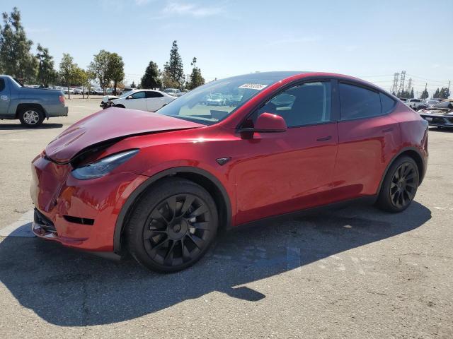 Vin: 7saygaee0rf016323, lot: 50253205, tesla model y 2024 img_1