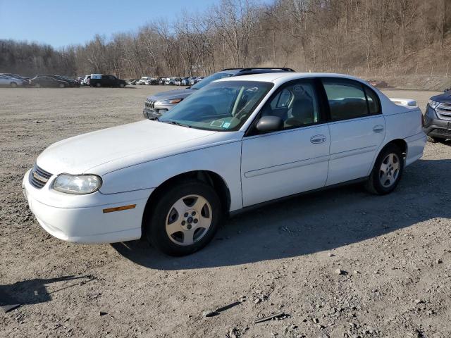 2004 CHEVROLET MALIBU 1LT #3109856507