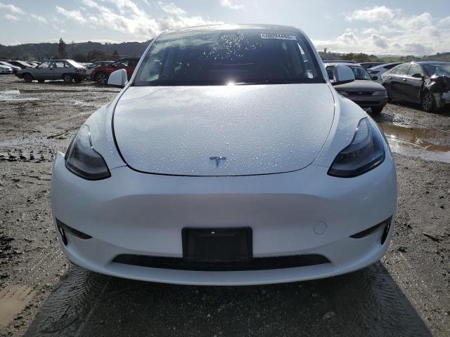 2023 TESLA MODEL Y - 7SAYGDEEXPF844622
