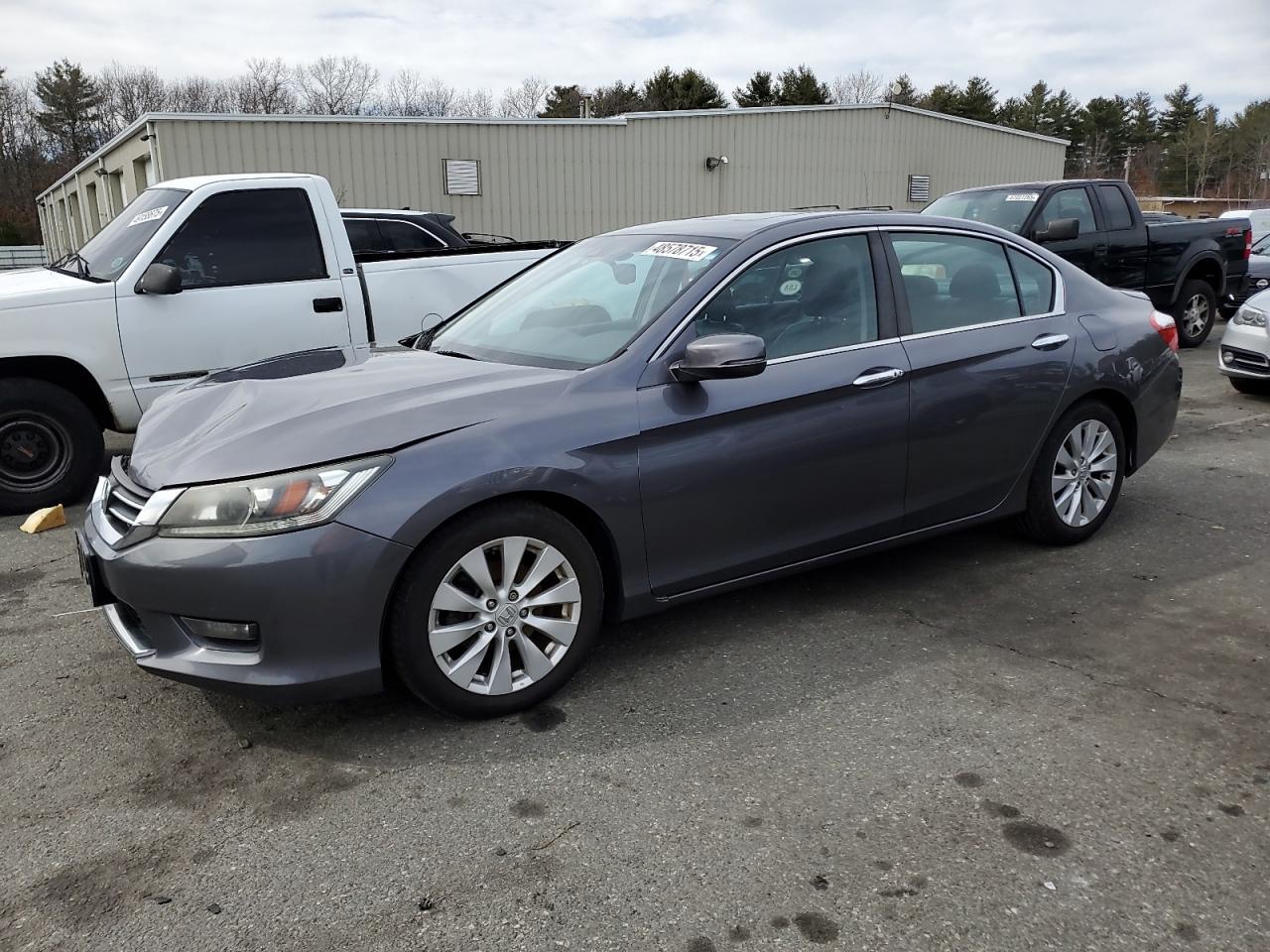 HONDA ACCORD EXL
