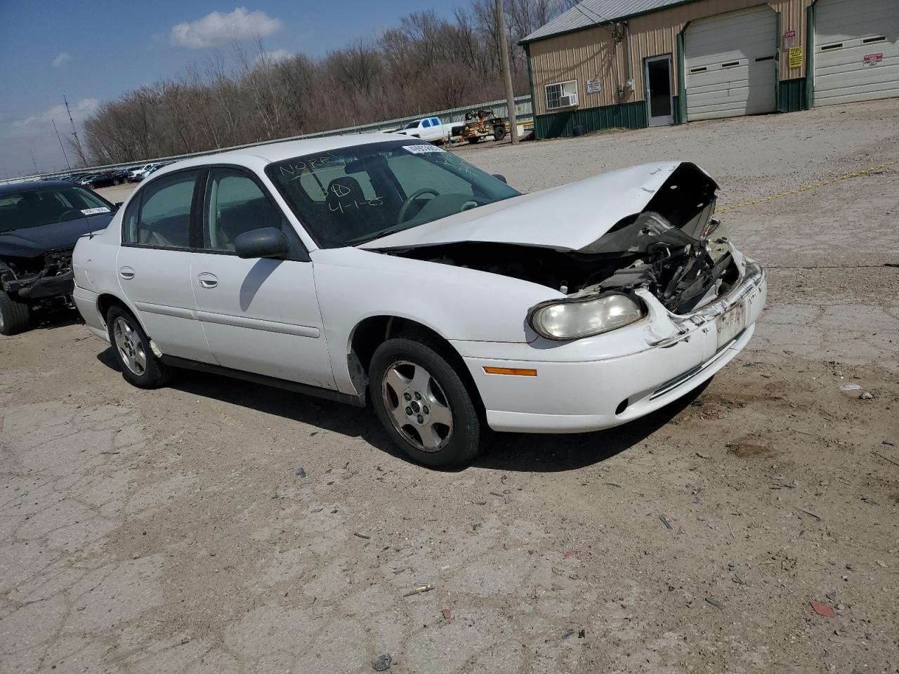 Global Auto Auctions