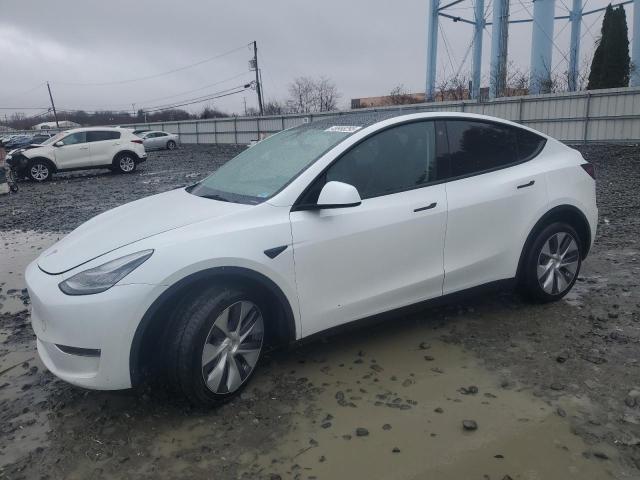 2023 TESLA MODEL Y - 7SAYGDEE1PA061704