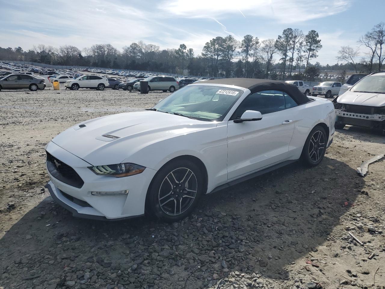 FORD MUSTANG