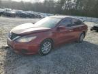 2017 NISSAN ALTIMA 2.5 - 1N4AL3AP5HN307693