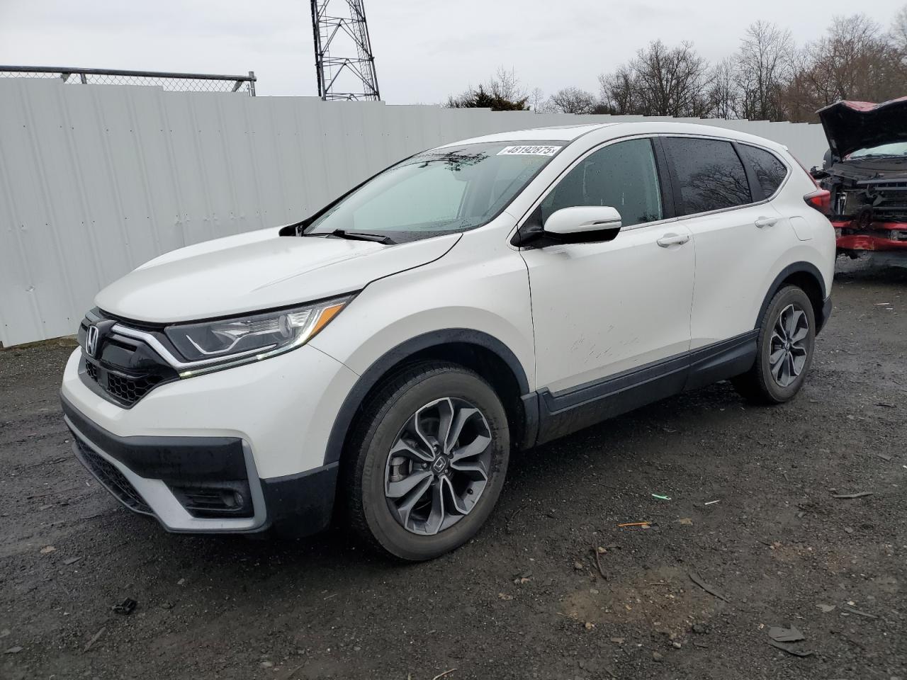 Lot #3196028903 2020 HONDA CR-V EXL