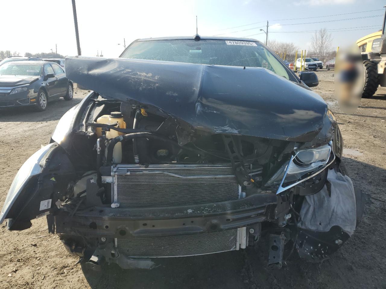 Global Auto Auctions