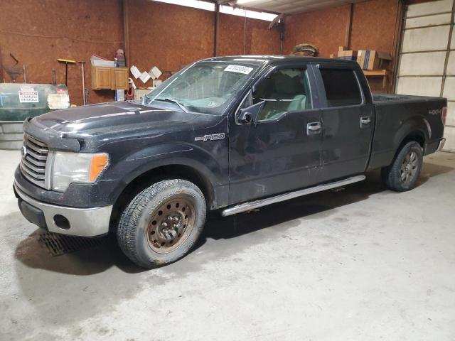 Vin: 1ftfw1ev7afa44952, lot: 47845065, ford f-150 supercrew 2010 img_1
