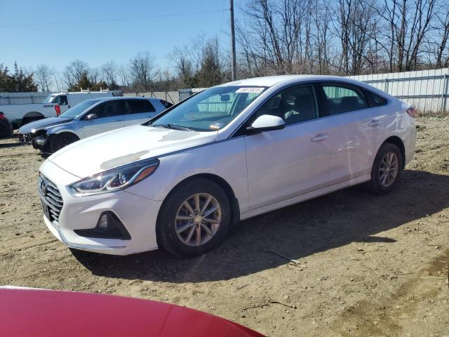 Vin: 5npe24af6jh650093, lot: 49873825, hyundai sonata se 2018 img_1