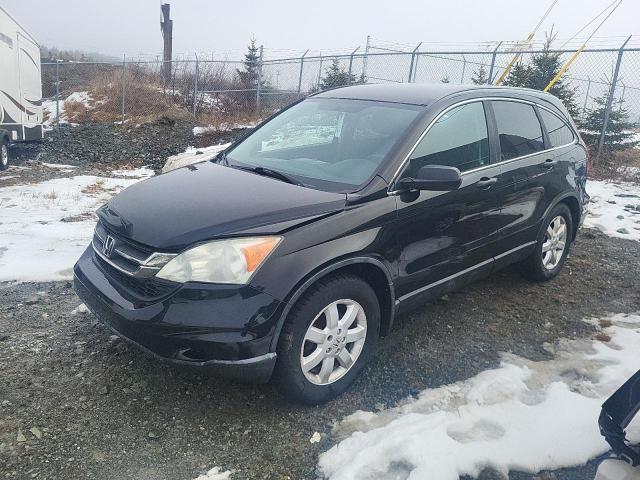 Vin: 5j6re4h38bl826010, lot: 46046935, honda crv lx 2011 img_1
