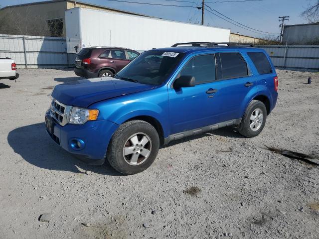Vin: 1fmcu9d73cka04531, lot: 50885325, ford escape xlt 2012 img_1