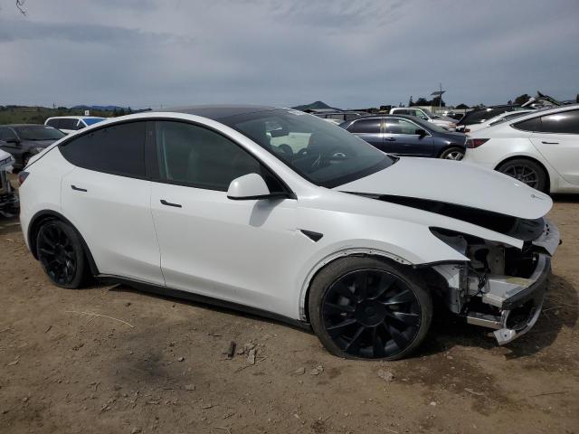 2023 TESLA MODEL Y - 7SAYGDEE4PF590759