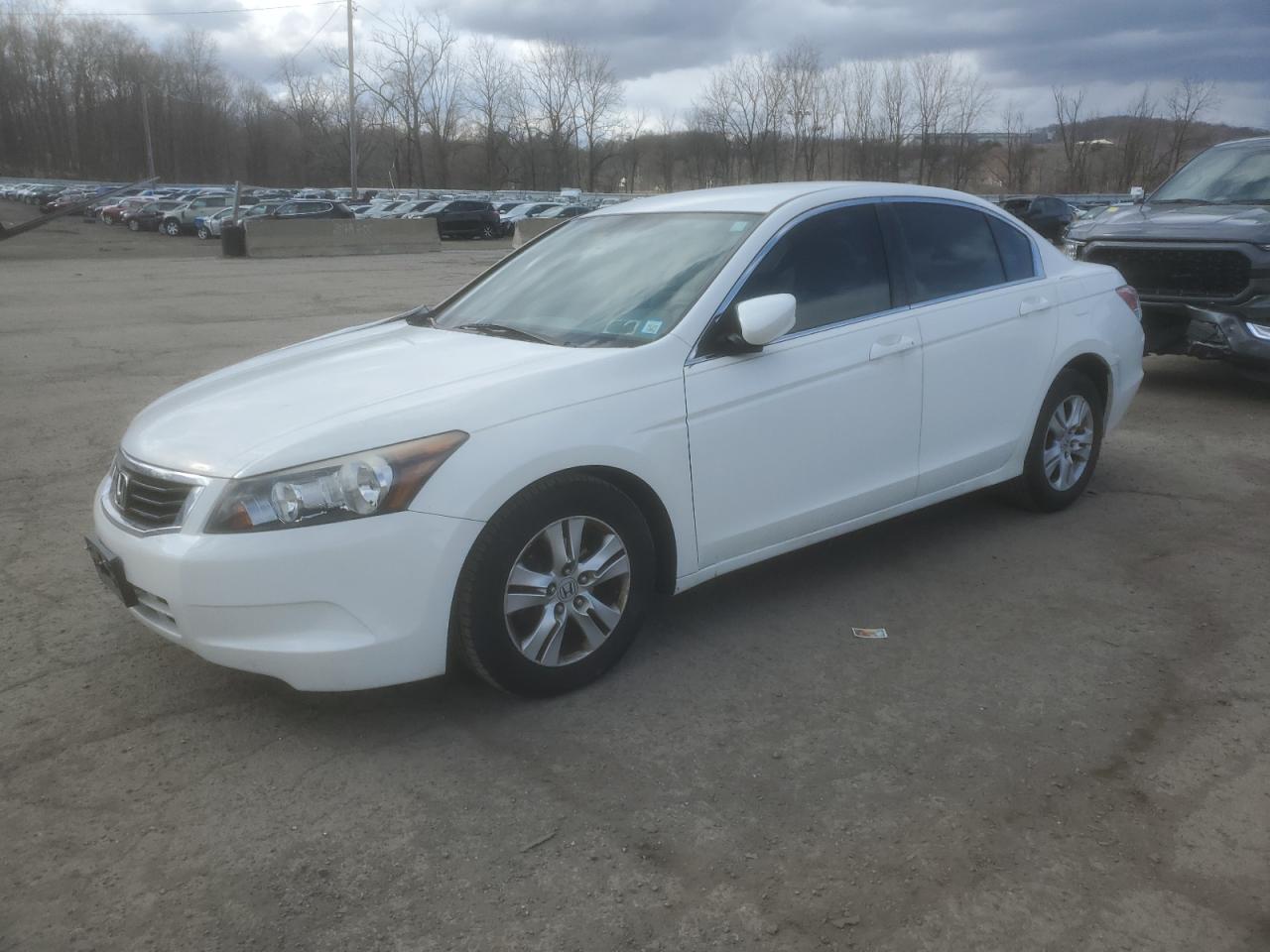 HONDA ACCORD LXP