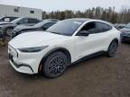 2024 FORD MUSTANG MA - 3FMTK3S52RMA00900