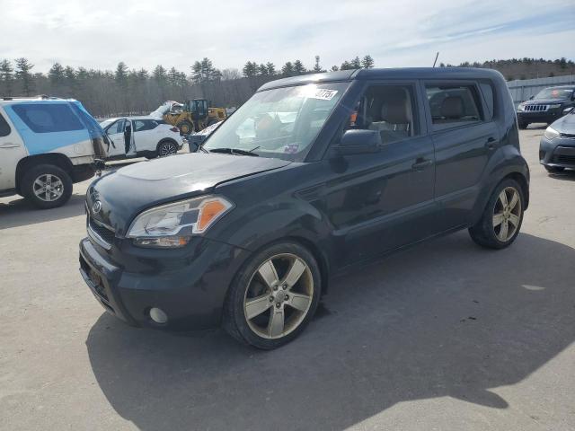 KIA SOUL +