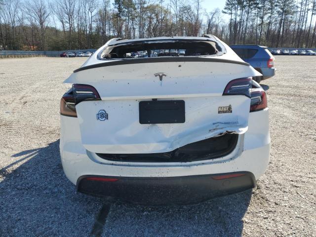 2024 TESLA MODEL Y - 7SAYGDEF5RF183755