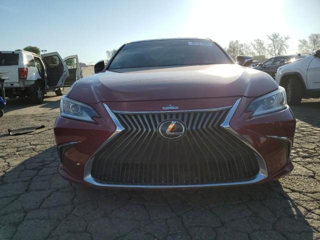 2019 LEXUS ES 350 - 58ABZ1B11KU008960