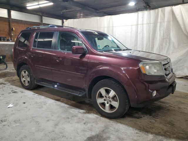 Vin: 5fnyf4h75bb092205, lot: 50576745, honda pilot exln 20114
