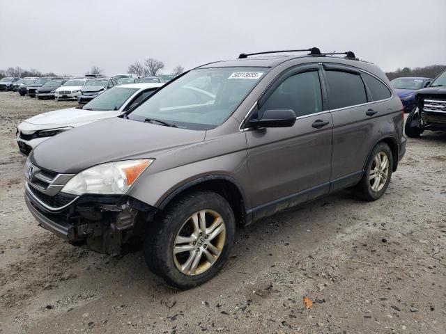 Vin: 5j6re4h5xal068428, lot: 50313655, honda crv ex 2010 img_1