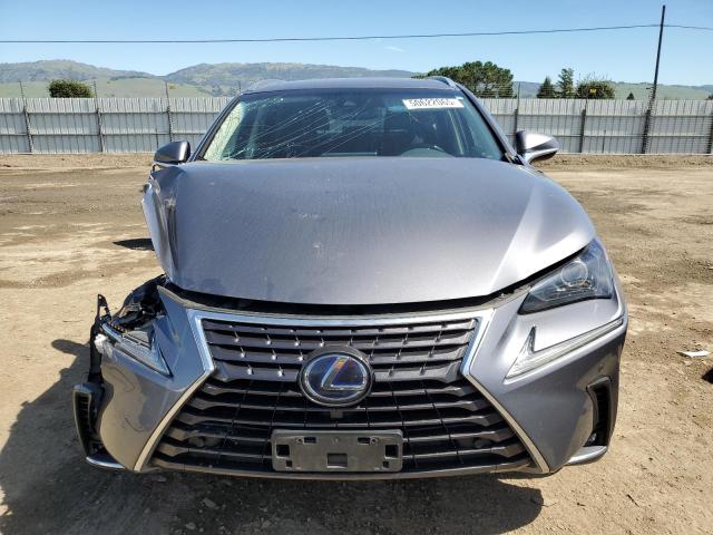 2019 LEXUS NX 300H JTJBJRBZ1K2106287