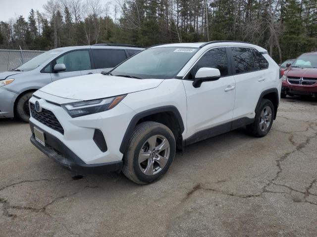 Vin: 2t3rwrfv3nw140608, lot: 49595085, toyota rav4 xle 2022 img_1