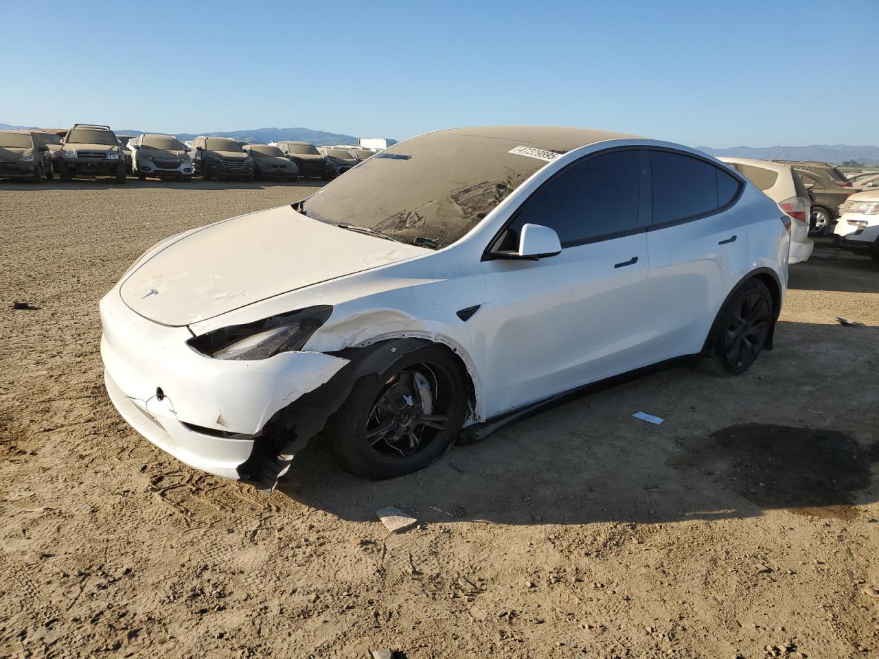 TESLA MODEL Y
