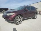 JN8AZ1MW2EW516044 NISSAN MURANO Photo 1