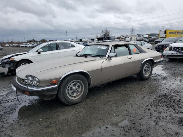 JAGUAR XJS