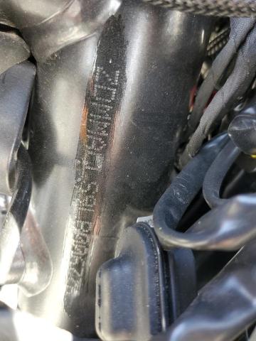 2020 DUCATI MONSTER 82 ZDMMACLS9LB006776