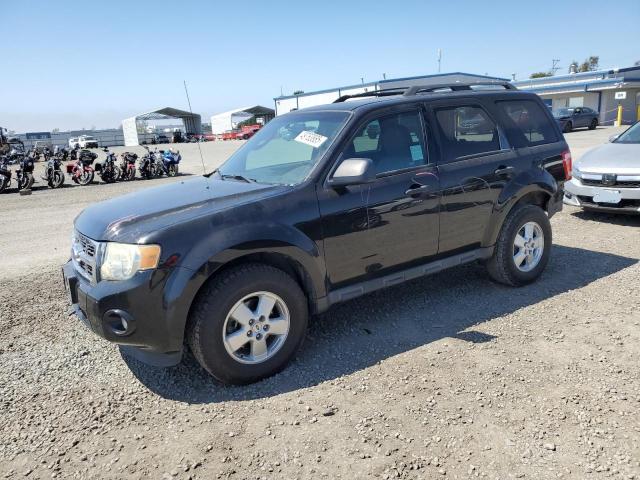 Vin: 1fmcu0d70bkc30052, lot: 49763885, ford escape xlt 2011 img_1