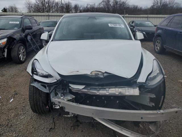 2023 TESLA MODEL Y - 7SAYGDEE8PA028490