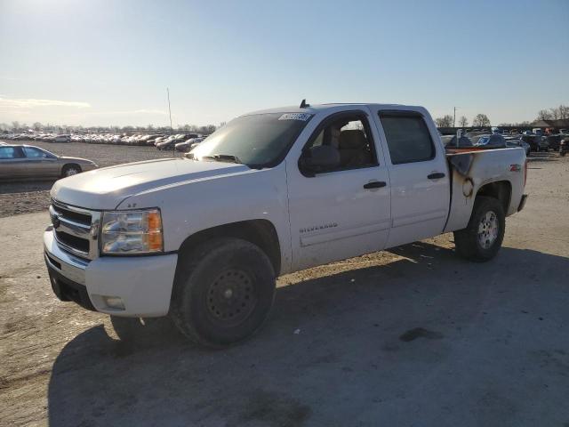 Vin: 1gcpkse32bf130305, lot: 50721735, chevrolet all models k1500 lt 2011 img_1