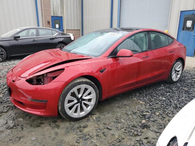 2022 TESLA MODEL 3 #3113881409