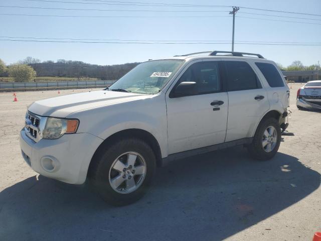 Vin: 1fmcu0d74bka48872, lot: 49428285, ford escape xlt 2011 img_1