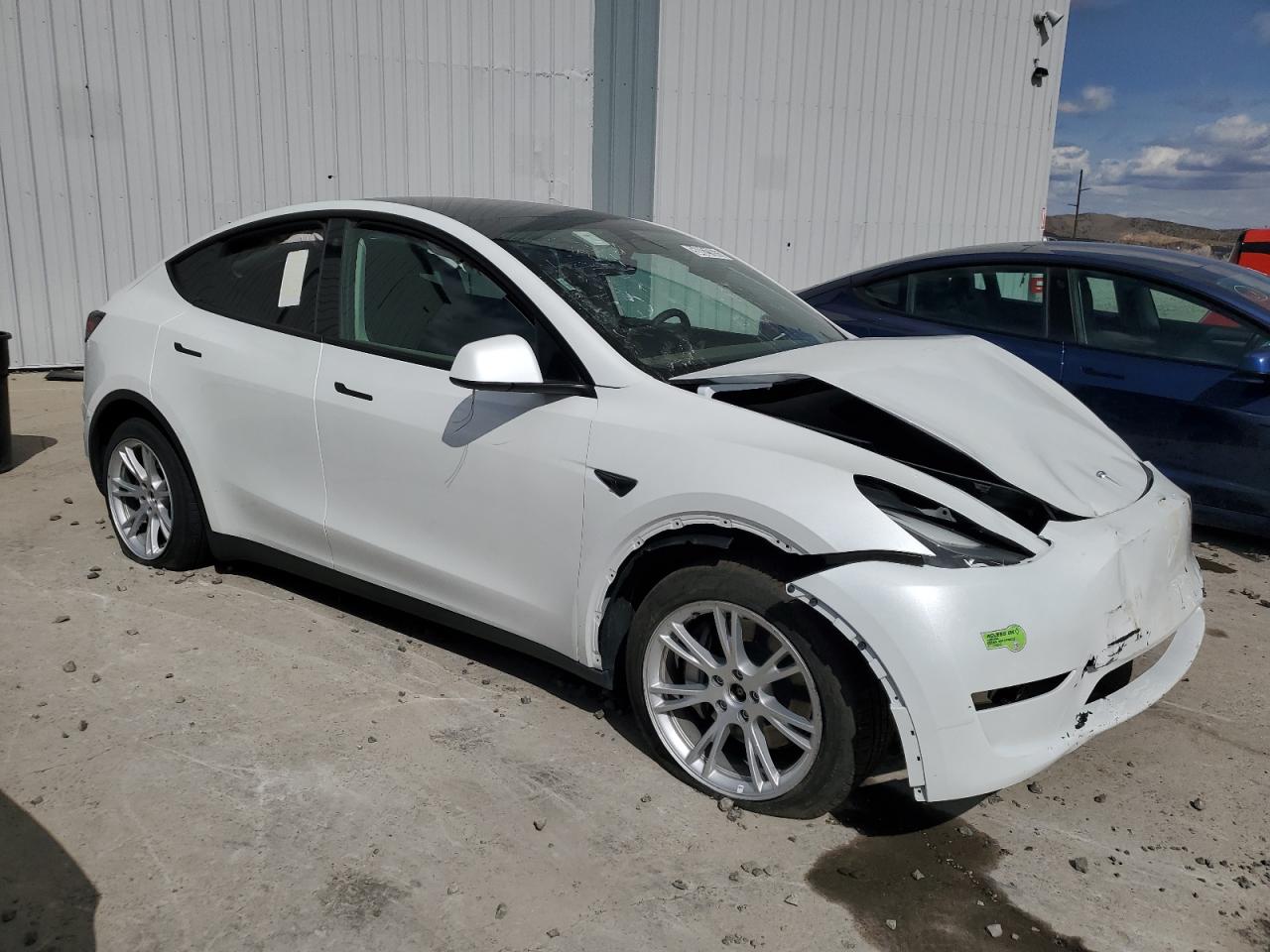 Lot #3296289417 2023 TESLA MODEL Y