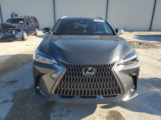 2024 LEXUS NX 250 BAS 2T2ADCAZ5RC008083