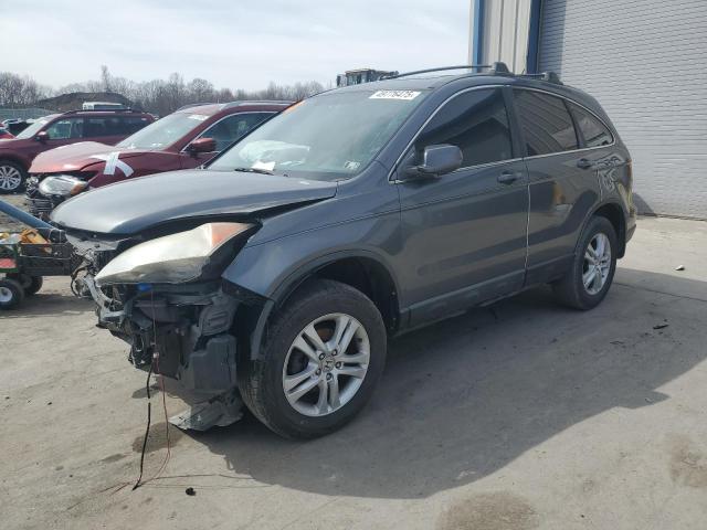 Vin: 5j6re4h72al031939, lot: 49776475, honda crv exl 2010 img_1