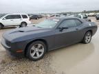 2019 DODGE CHALLENGER - 2C3CDZAG0KH565420