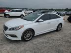 2015 HYUNDAI SONATA SPO - 5NPE34AF1FH012807