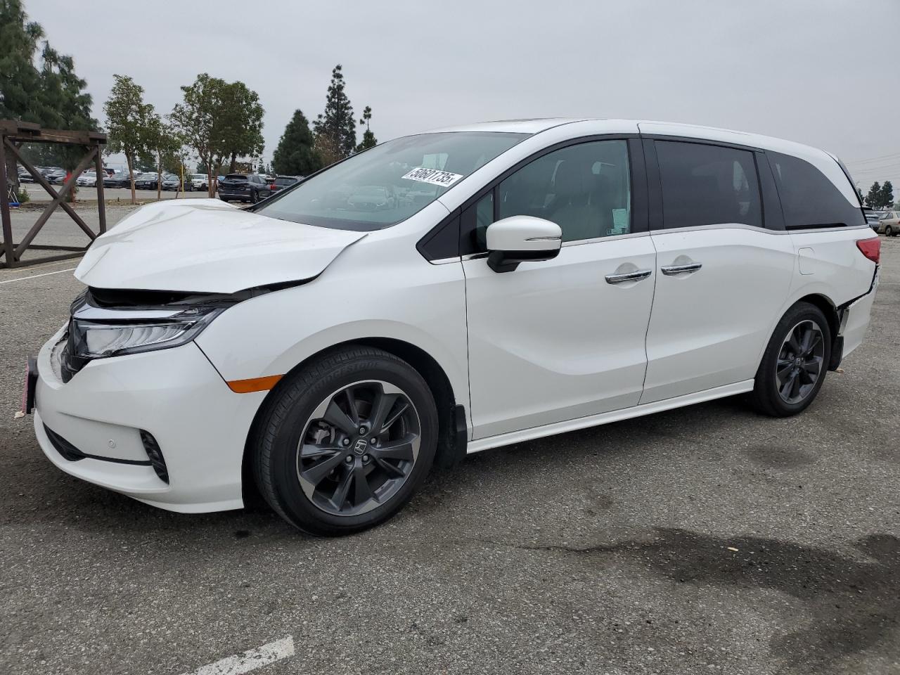 HONDA ODYSSEY ELITE