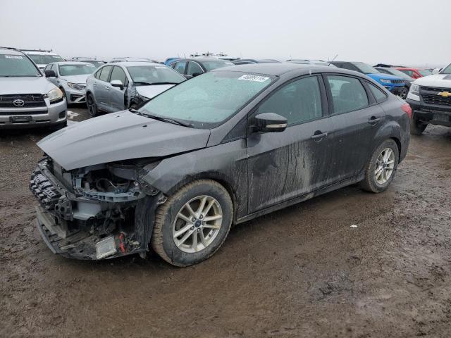 Vin: 1fadp3f28fl206140, lot: 46899115, ford focus se 2015 img_1